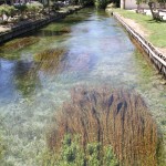 The river at L'Isle-sur-la-Sorgue had a Monet look according to Kim
