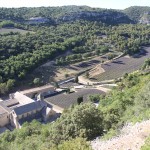 Abbaye Notre-Dame de Sénanque and its Lavender fields
