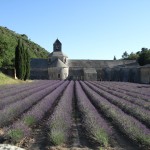 Abbaye Notre-Dame de Sénanque