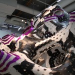 A colorful one, one of Syd's favorite